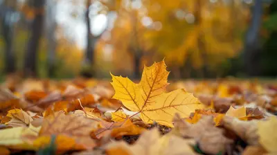 Seasonal Nature Walks as a Simple Family Tradition