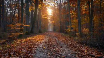 Seasonal Nature Walks as a Simple Family Tradition