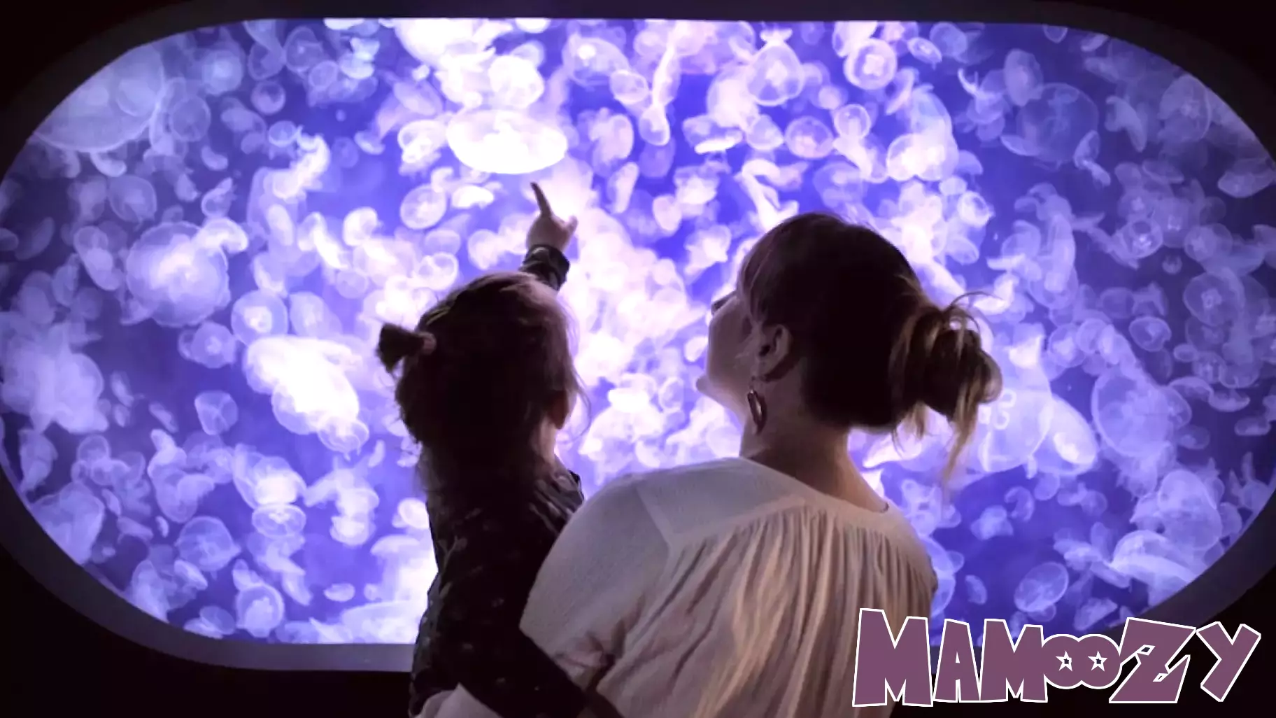 Embracing Jellyfish Parenting: A Flexible Approach to Nurturing Children