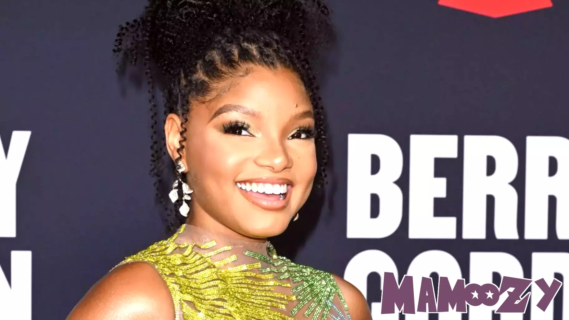Halle Bailey and DDG Finalize Custody Agreement for Son Halo