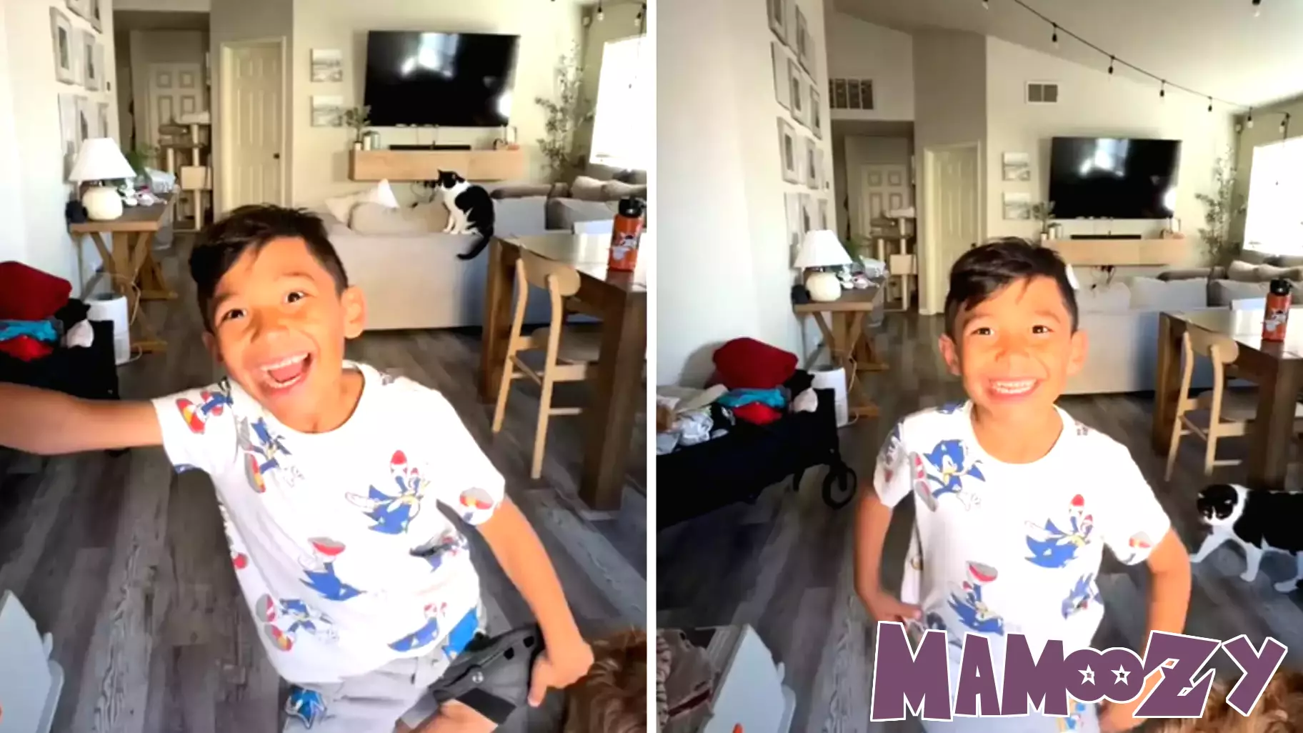 Seven-Year-Old Boy Eager to Foster Siblings Receives Exciting News