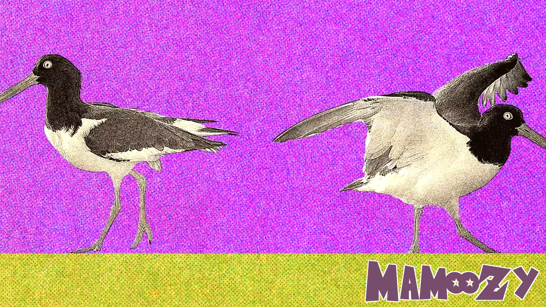 Striving for Better Relationships: A Mother's Journey