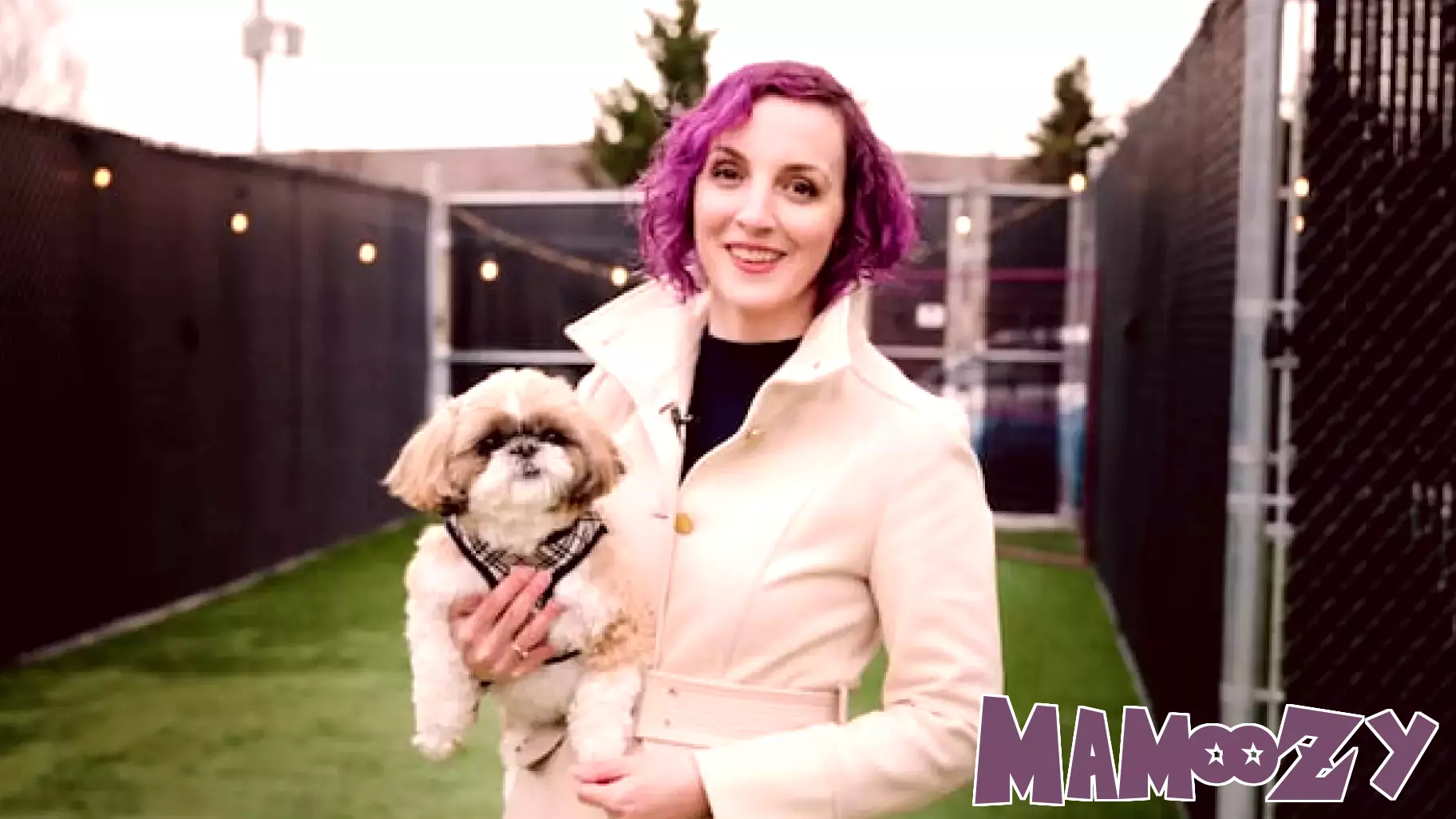 The Ancient Origins of Modern Pet Parenting